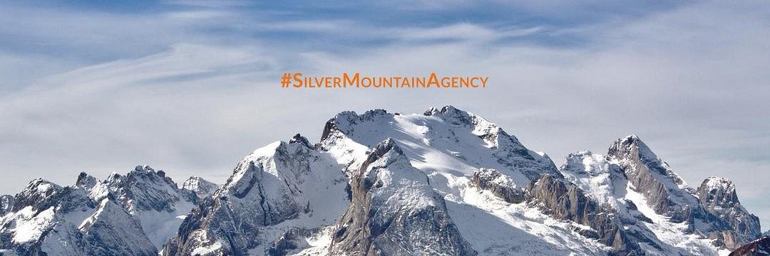 Silver Mountain cover