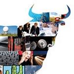 Bull Marketing Ltd logo