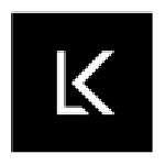 Lead Kinetics Ltd