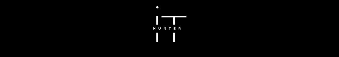 IT Hunter cover