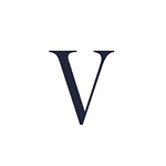 Voice Brand Design logo