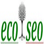 ECO SEO logo