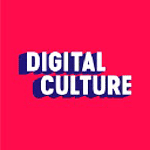 Digital Culture NI