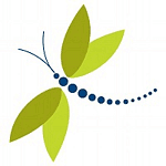 The Bubblegate Company Limited logo