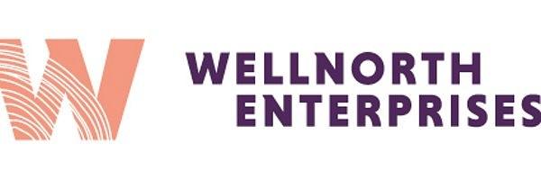 Wellnorth Enterprises cover