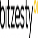 Bit Zesty Ltd logo