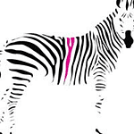 Stripeyhorse Creative logo