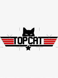 topcatdesigns cover