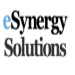 eSynergy Solutions logo