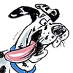 Spotty Dog Digital Marketing logo