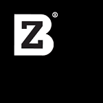BZ Marketing logo