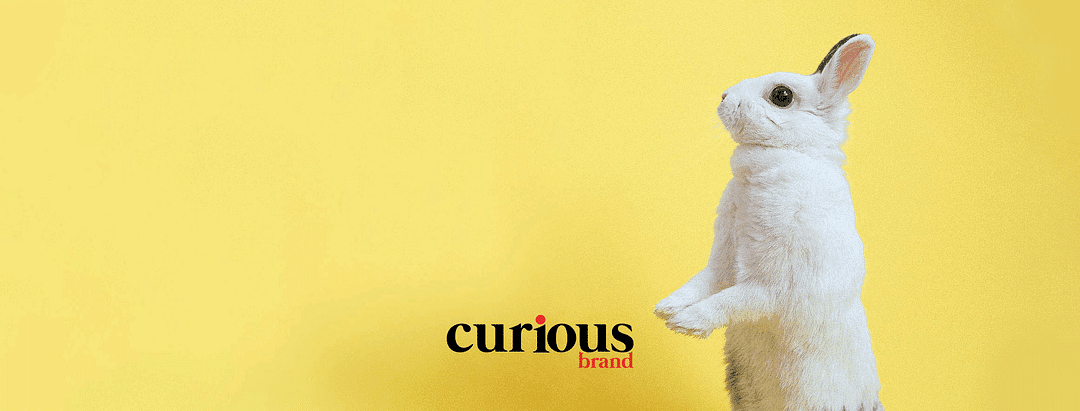Curious Brand cover