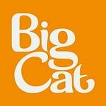 Big Cat Group logo