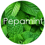 Pepamint logo