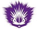 Purple Porcupine Design Ltd logo