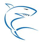 Blue Shark Digital logo