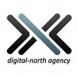 Digital North logo