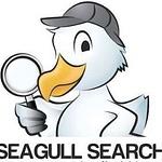 Seagull Search logo
