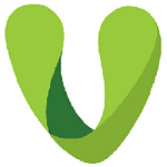 Vocabridge logo