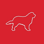 Wild Dog Design logo