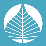 Bodhi Web logo