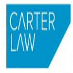 Carter view logo
