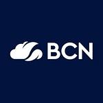BCN Group Ltd logo