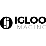 igloo imaging logo