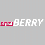 Digital Berry Ltd logo
