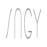 Synergy Media logo