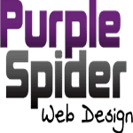 Purple Spider Web Design