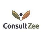 Consult Zee logo