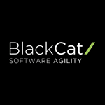 BlackCat Technology Solutions Ltd