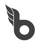 Bopgun Design Ltd logo