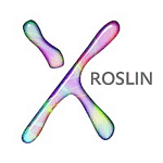 Roslin Design logo