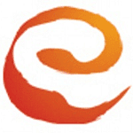 E Solutions logo