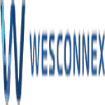 Wesconnex Ltd logo