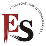E-Sinolutions Ltd. logo