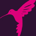 Hummingbird Events logo