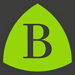 Bigfork Limited logo