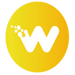 Wiser Websites logo