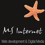 MS Internet