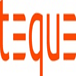 Teque - Bespoke Applications