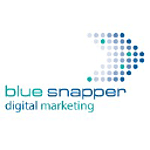Bluesnapper logo