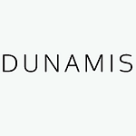 Dunamis Web Services Ltd logo