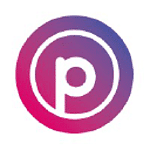 Polkadot Agency logo