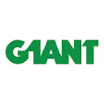 G1ANT Ltd