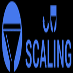 Inbound Scaling logo