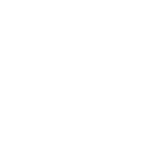 Blink SEO