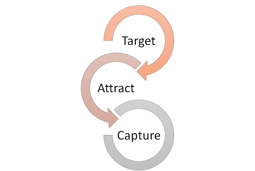lifecycle marketing - Collect Leads